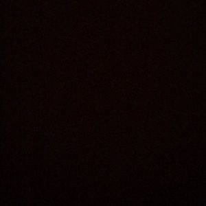 Meet your Posher, Abbie